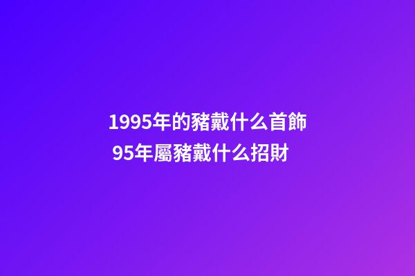 1995年的豬戴什么首飾 95年屬豬戴什么招財-第1張-觀點-玄機(jī)派
